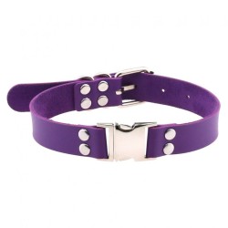 Magnetic Leather Collar