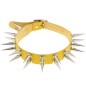 Double Row Long Spiked Rivet Collar