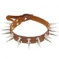 Double Row Long Spiked Rivet Collar