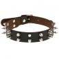 Double Row Spiked Rivet Leather Collar