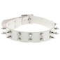 Double Row Spiked Rivet Leather Collar