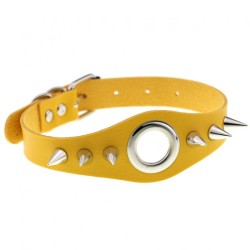 Metal Ring Spikes Collar