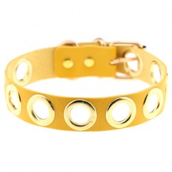 Gold Circle Choker