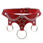 Five Star Chain Collar