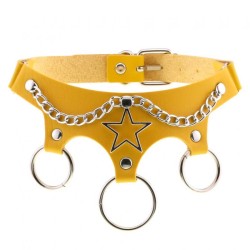 Five Star Chain Collar