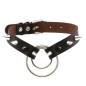 Double Ring Spiked Stud nCollar