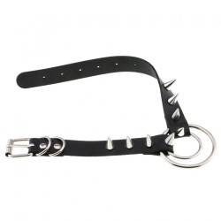 Double Ring Spiked Stud nCollar