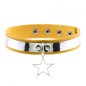 Choker Collar With Pentagram