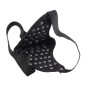 Spike Alloy Decorative Punk Mask