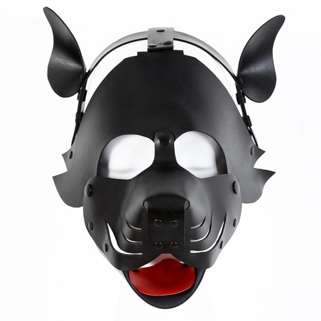 Detachable Dog Hoods