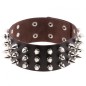 Three Row Tapered Studded Collar