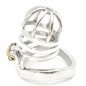 Bent Ring Cock Chastity Cage