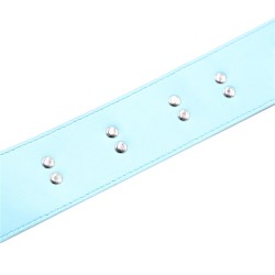 Blue And Pink Neck Collar