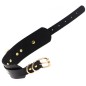 Golden O-Ring Punk Collar