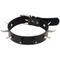 Spiked Rivet Leather Collar