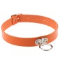 Fashion Trend Leather Collar