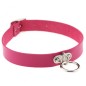 Fashion Trend Leather Collar