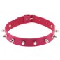 Punk Spiked Studded Leather Collar
