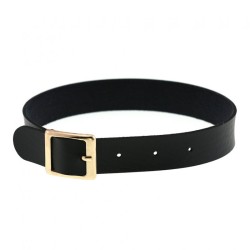 Harajuku Punk Rock Leather Collar - Golden