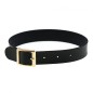 Harajuku Punk Rock Leather Collar - Golden