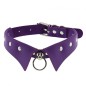 Gothic Leather Collar Choker