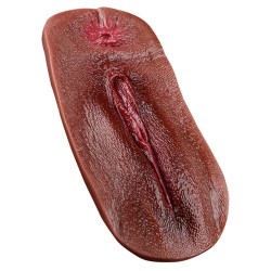 Realistic Cosplay Silicone Fake Vagina Pad - D