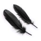 Feather Ticklers Kit With Cuffs &amp; Blindfold