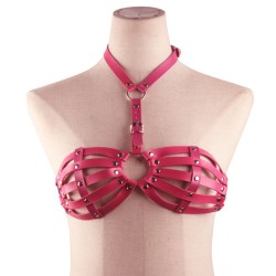 Erotic Women's Bra with Breast Garters