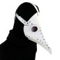 Plague Doctor Steampunk Brird Mask