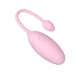 App Remote Control Double-head Rose Egg Vibrator