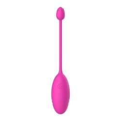 App Remote Control Double-head Rose Egg Vibrator