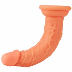 Lifelike Silicone 6.3"/16 cm Dildo - Student