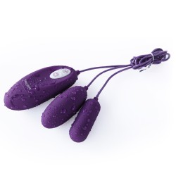 Lyra Duo Wired Controller Egg Vibrator