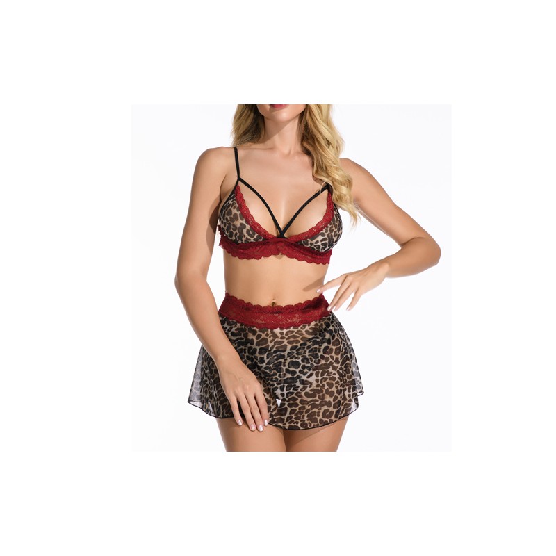 Wild Leopard Printed Mesh Hollowed-out Bra&amp;panty Dress Set