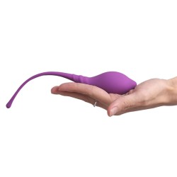 Lamboll Kegel Vaginal Exerciser Kit