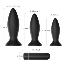 Roar Anal Vibrator Kit