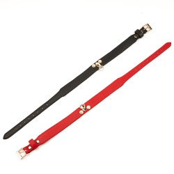 Exquisite Leather Neck Collar With Lead