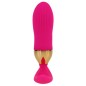 APP Control Stripe Anal Vibrator