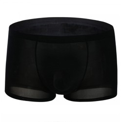 Hard To Resist Comfortable Ice Silk Boxer Brief