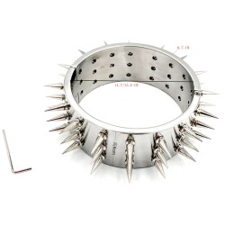 Heavy Neck Collar With 45 Spikes