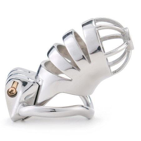 HT Bird Cage Chastity Device