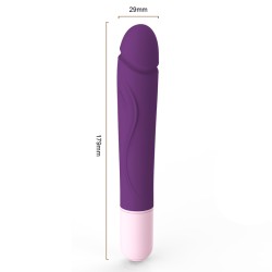 Merry Silicone Vibration Dildo