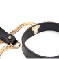 Golden Chain Lead Collar