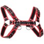 Black With Red Edge Chest Harness