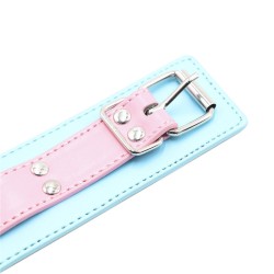 Blue &amp; Pink Collars with Lead