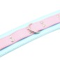 Blue &amp; Pink Collars with Lead