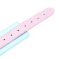 Blue &amp; Pink Collars with Lead