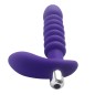 Anal Pleasure 10 Function Ribbled Explore