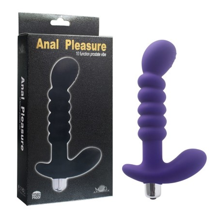 Anal Pleasure 10 Function Prostate Vibe