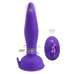 Vibration &amp; Rotation Anal Plug